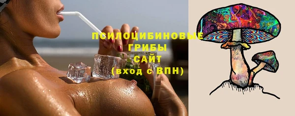 индика Братск