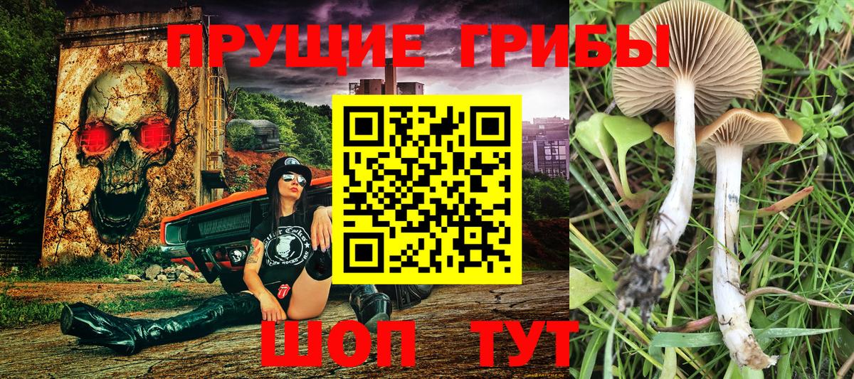 Галлюциногенные грибы прущие грибы Электросталь