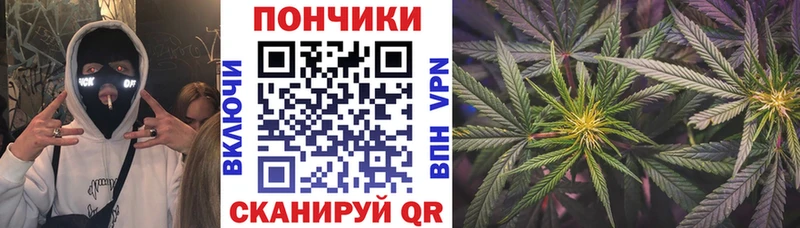 купить  цена  Электросталь  Шишки марихуана OG Kush 